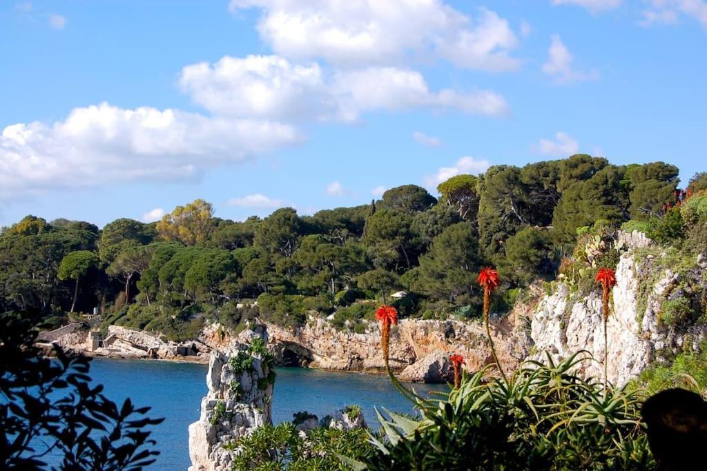 Ravissant Studio Au Coeur Du Vieil Antibes Dış mekan fotoğraf